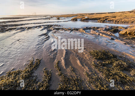 Mud flats and salt marsh at low tide, Beachley Point, River Severn, Gloucestershire, England, UK Stock Photo