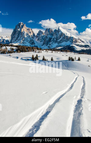 Scenic winter view of Seiser Alm or Alpe di Siusi with Sassolungo Langkofel in the background, Alto Adige South Tyrol, Italy Stock Photo