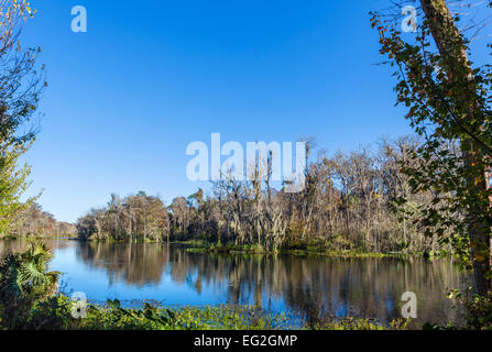 The Silver River in Silver Springs State Park, near Ocala, Marion County, Florida, USA Stock Photo