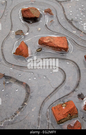 Ice patterns around bricks in a puddle Stock Photo