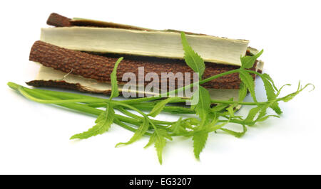 Medicinal neem leaves with bark of tree over white background Stock Photo