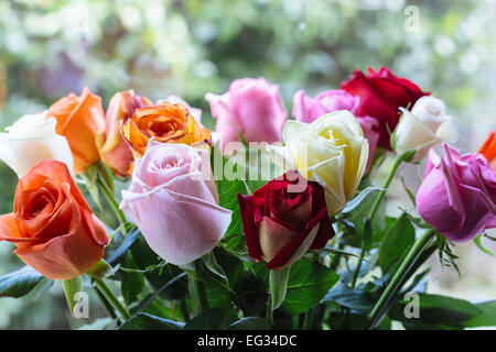Bouquet of mixed colourful roses sitting on window sill Stock Photo