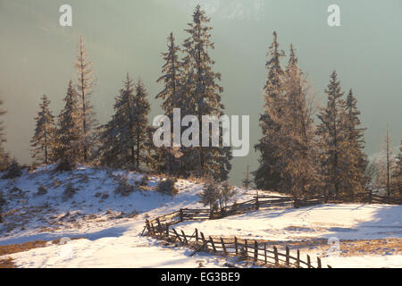 Majestic winter landscape glowing by sunlight. Dramatic wintry scene. Carpathian, Ukraine, Europe. Beauty world. Retro filter. I Stock Photo