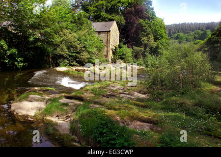 Thrum Mill, River Coquet near Rothbury Stock Photo