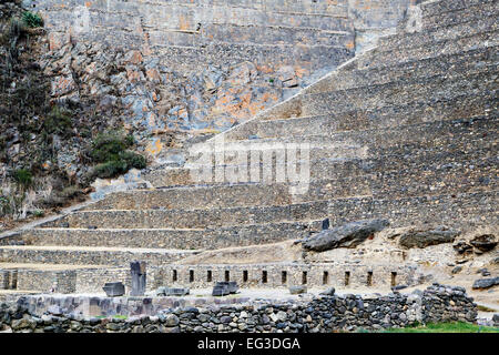 Agricultural terraces, Ollantaytambo Inca ruins, Ollantaytambo, Urubamba, Cusco, Peru Stock Photo