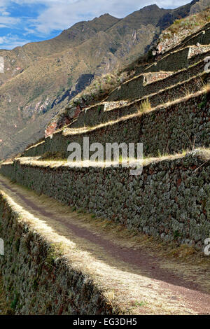 Agricultural terraces, Pisac Inca ruins, Pisac, Cusco, Peru Stock Photo