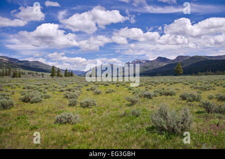 View along Slough Creek trail, Yellowstone National Park, United States. Stock Photo