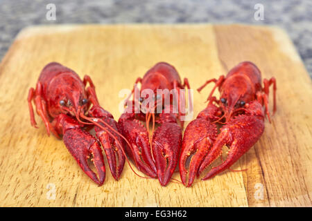 Three Red river crayfish on cutting board in front perspective Stock Photo