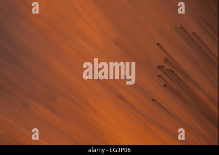 Fiber Optics close-up abstract Stock Photo