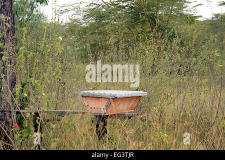 Kenyan beekeepers hive called a horizontal top bar hive at Soysambu in Kenya, East Africa Stock Photo