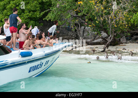 Tourist boat with tourists photographing monkeys on Koh Phi Phi island in Thailand. Stock Photo