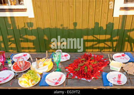 Sweden - Crayfish with dill eaten at traditional swedish crayfish party. Stock Photo