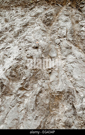 Closeup of a rock Stock Photo