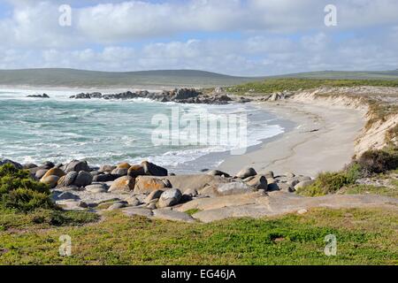 Plankiesbaai, West Coast National Park, Langebaan, Western Cape, South Africa Stock Photo