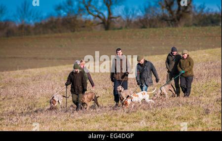 Dog walkers with various breeds of dog walking in a field during a dog obedience training day Stock Photo