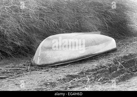 braches in the forest with boat on the grund in black and white Stock Photo