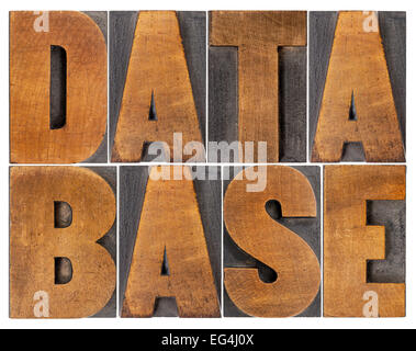 database - isolated word abstract in letterpress wood type Stock Photo