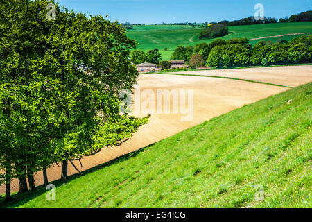 View over farmland and rolling countryside in Wiltshire. Stock Photo