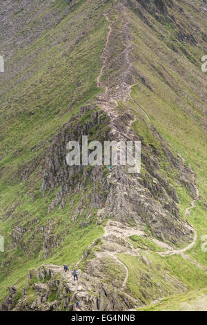 Walkers on Striding Edge, Helvellyn, Lake District, Cumbria, England UK Stock Photo