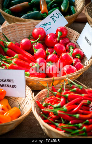 Variety of chillies on farmers market stall, Isles of Scilly, UK Stock Photo