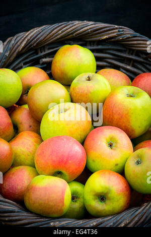 Traditional wicker basket full of fresh red and green heritage apples Stock Photo