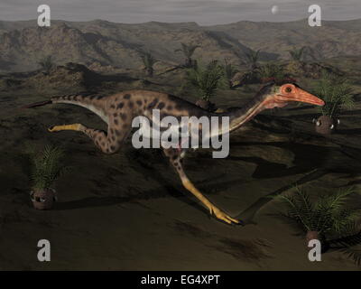 Mononykus dinosaur running by night surrounded with cycadeodia plants - 3D render Stock Photo