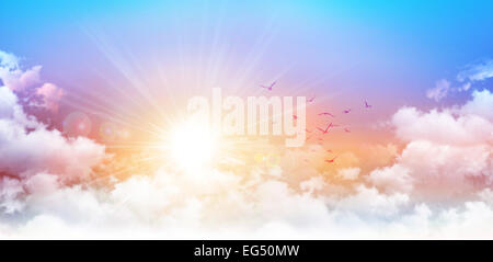 High resolution morning sky background. Rising sun and birds breaking through white clouds Stock Photo