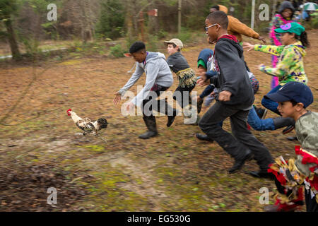 Victorious teen boy chicken catcher during the traditional Chicken Run for  Lake Charles family friendly Mardi Gras. Children in Stock Photo - Alamy