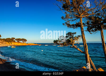 Palombaggia Corsica France Rocks At The Plage Stock Photo