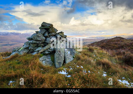 Trawsfynydd lake can be seen from the Northern edge of Coed Y Brenin forest, Snowdonia Stock Photo