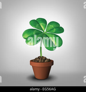 Growing your luck as a four leaf clover plant in a flower pot as a symbol for success and prosperity as a green lucky charm icon of good luck and fortune for opportunity and healthy growth. Stock Photo