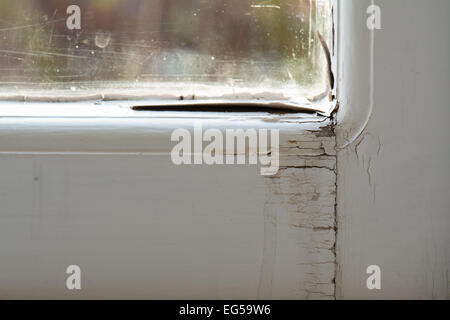 Damage to wooden single glazed window frame caused by condensation and ...