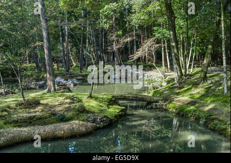 A pond at Saiho-ji zen temple garden (Koke-dera, the Moss Temple), Kyoto, Japan. The ground is thickly covered with moss in these 14c woodland gardens Stock Photo