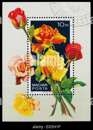 HUNGARY - CIRCA 1982: A postage stamp from Hungary showing flowers ...