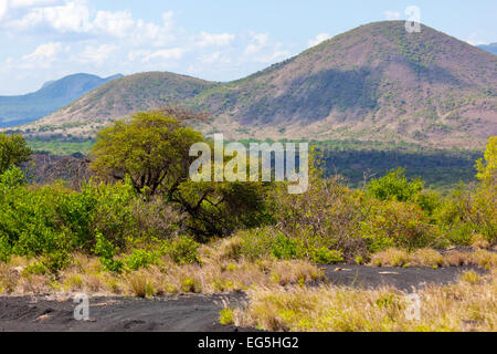 Bush and savanna landscape in Africa. Tsavo West, Kenya. Stock Photo