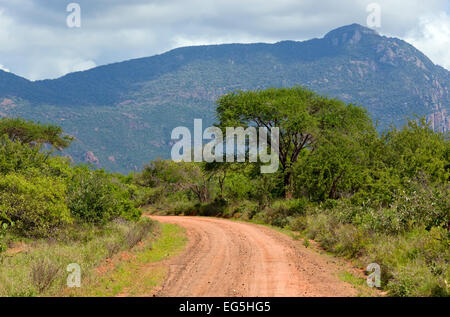 Red ground road and bush with savanna landscape in Africa. Tsavo West, Kenya. Stock Photo