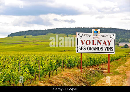 Volnay vineyard Cote d'Or Burgundy France Stock Photo