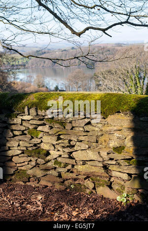 Dry stone wall capped with green moss,Agatha Christie,  Stone Wall, Stability, Stone, Backgrounds, Block, Rock, Built Structure Stock Photo