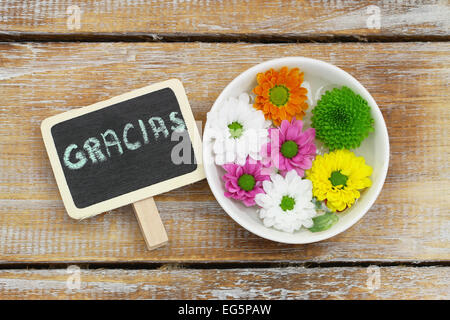 Gracias (which means thank you in Spanish) written on miniature blackboard and colorful Santini flowers Stock Photo