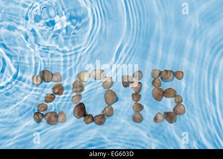 The inscription 2015 made seashells in water, can be used as background Stock Photo