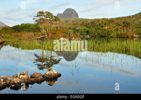 A view of Suilven over a highland loch with islands of scots pine and birch. Sutherland, Scotland, June 2011. Stock Photo