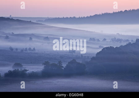 View over New Forest lowland heathland from Rockford Common at dawn. Linwood, New Forest National Park, Hampshire, England, UK Stock Photo