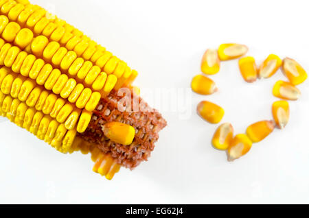 Corn cob and a corn heart isolated on white Stock Photo