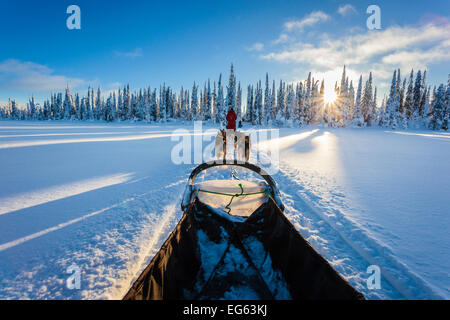 Sleighdog adventure in in the north of europe, Finnish Lapland, Finland, Lapland, Europe Stock Photo