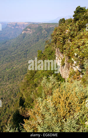 View from God's Window over Blyde River Canyon Stock Photo