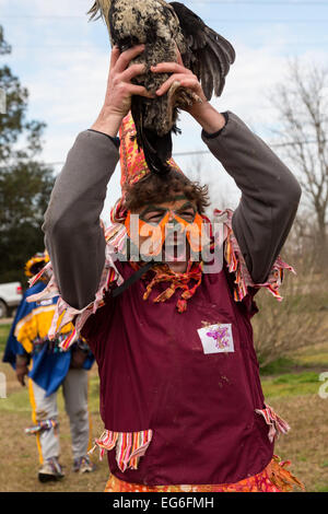 louisiana mardi gras chicken run