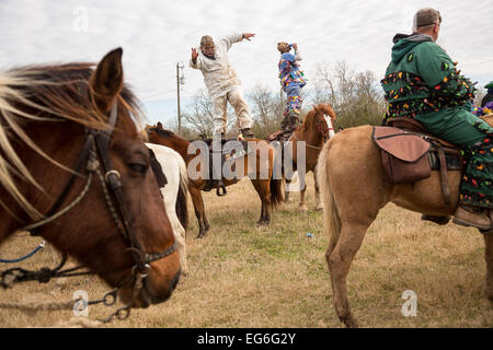 Costumed revelers dance on their horses during the Mamou Courir de Mardi Gras chicken run on Fat Tuesday February 17, 2015 in Mamou, Louisiana. The traditional Cajun Mardi Gras involves costumed revelers competing to catch a live chicken as they move from house to house throughout the rural community. Stock Photo