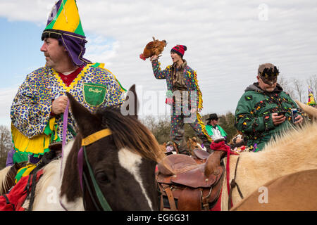 Costumed revelers dance on their horses during the Mamou Courir de Mardi Gras chicken run on Fat Tuesday February 17, 2015 in Mamou, Louisiana. The traditional Cajun Mardi Gras involves costumed revelers competing to catch a live chicken as they move from house to house throughout the rural community. Stock Photo