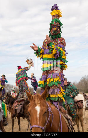 Costumed revelers dance on their horses during the Mamou Courir de Mardi Gras chicken run on Fat Tuesday February 17, 2015 in Mamou, Louisiana. The traditional Cajun Mardi Gras involves costumed revelers competing to catch a live chicken as they move from house to house throughout the rural community. Stock Photo