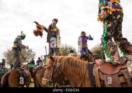 Costumed revelers dance on their horses during the Mamou Courir de Mardi Gras chicken run on Fat Tuesday February 17, 2015 in Mamou, Louisiana. The traditional Cajun Mardi Gras involves costumed revelers competing to catch a live chicken as they move from house to house throughout the rural community. Stock Photo